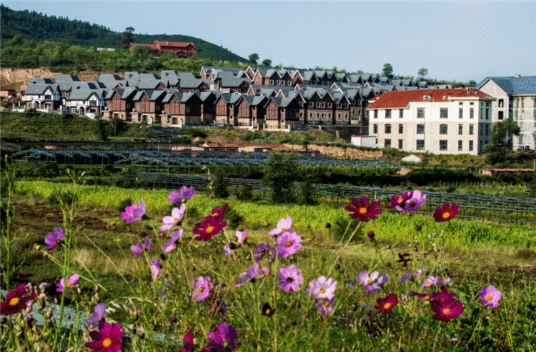 一眼倾心！河北省旅发大会的“特别风景”都在这里……