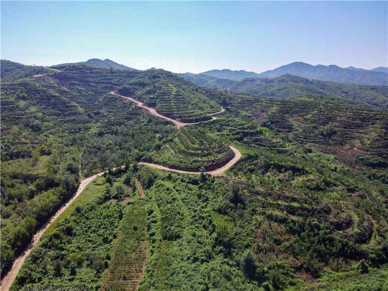 探访赞皇旅发“一核、两区、百点”之部落神农观摩点