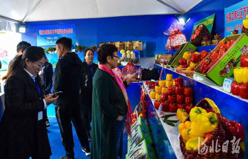 第五届河北省旅游产业发展大会在张家口开幕