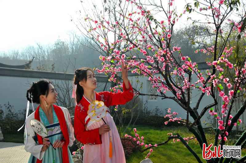 【“春到售楼处”摄影作品展 ①】十里春风颐养小镇：诗画江南入鹿泉