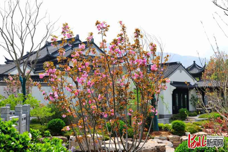 【“春到售楼处”摄影作品展 ①】十里春风颐养小镇：诗画江南入鹿泉