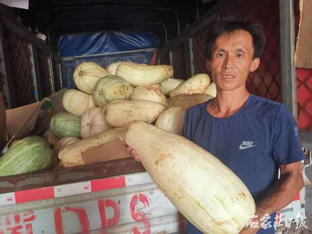 邯郸数万斤南瓜变“难”瓜 谁能帮农民解决卖瓜难题