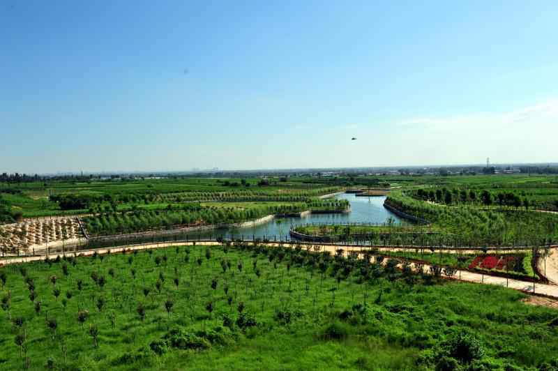 名牌导游带您游河北│美景与健康相伴，快来这里解锁农业生态新体验！