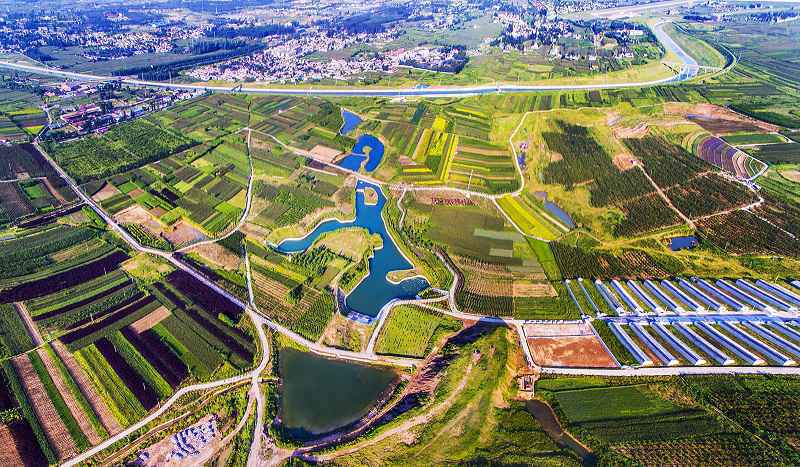 名牌导游带您游河北│美景与健康相伴，快来这里解锁农业生态新体验！
