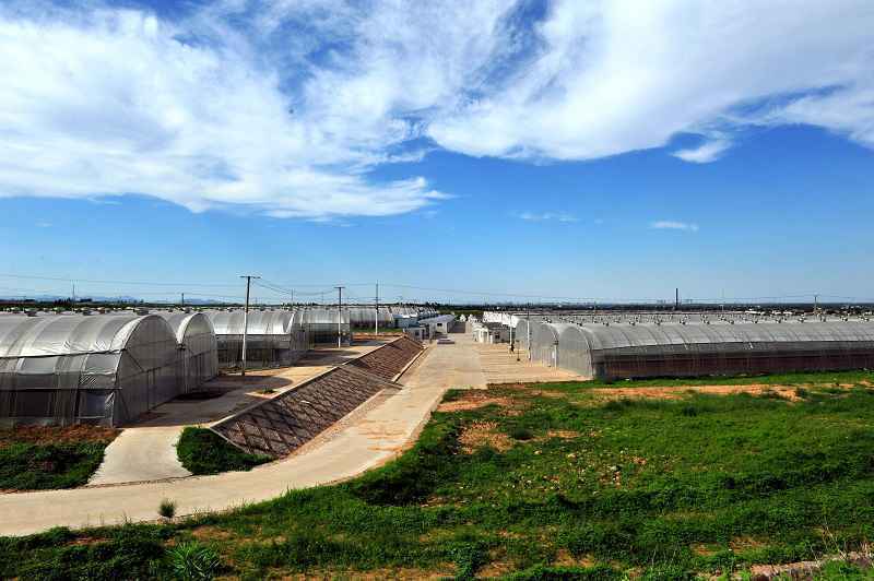 名牌导游带您游河北│美景与健康相伴，快来这里解锁农业生态新体验！