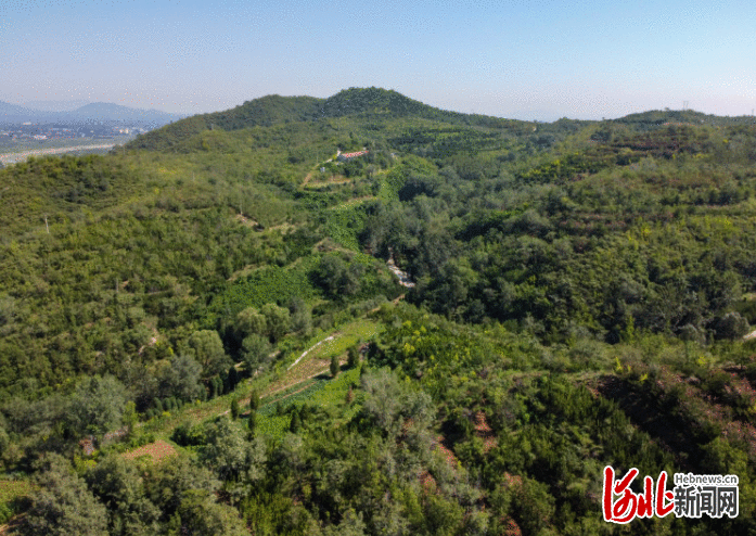 旅发时间 | 四季常青 荒草秃石山华丽变身