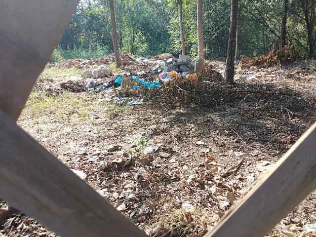 从“三堵墙”看邯郸邱县新马头镇工作的“面子”和“里子”