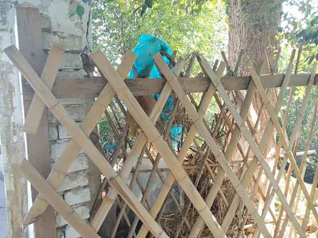 从“三堵墙”看邯郸邱县新马头镇工作的“面子”和“里子”