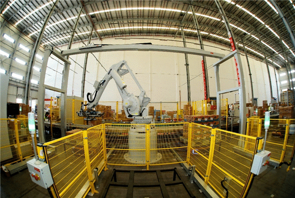 张近东：利用好国内外两个市场加快数字化转型