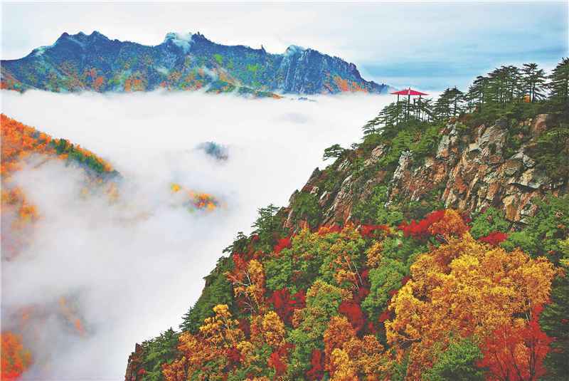 京津冀协同发展6周年｜2019年河北大气质量达6年来最好水平