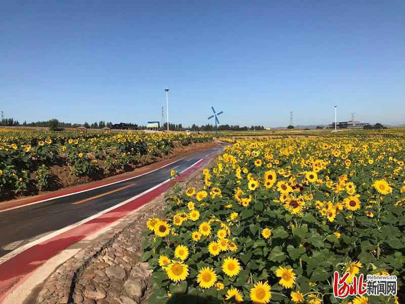 邢台市第四届旅发大会项目观摩侧记