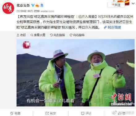 官方介入调查极限挑战摘雪莲花事件 极限挑战雪莲花事件始末详情