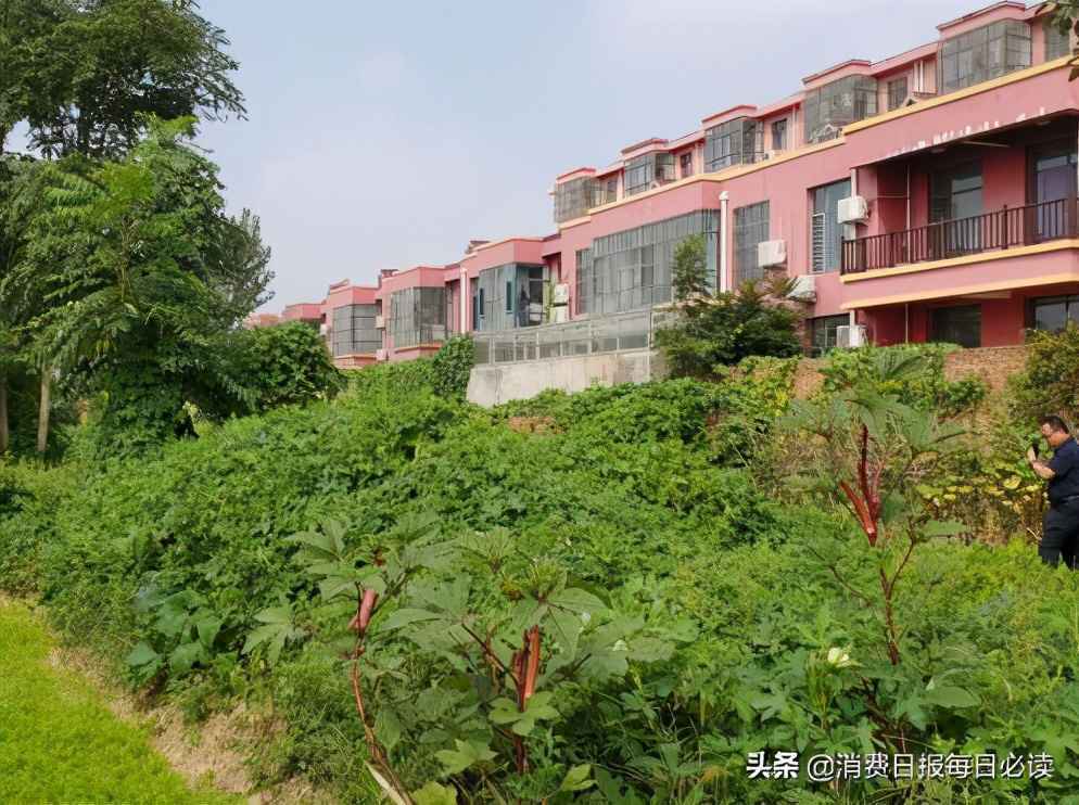沧州孟村违建别墅“屹立不倒”主管部门仍在打太极