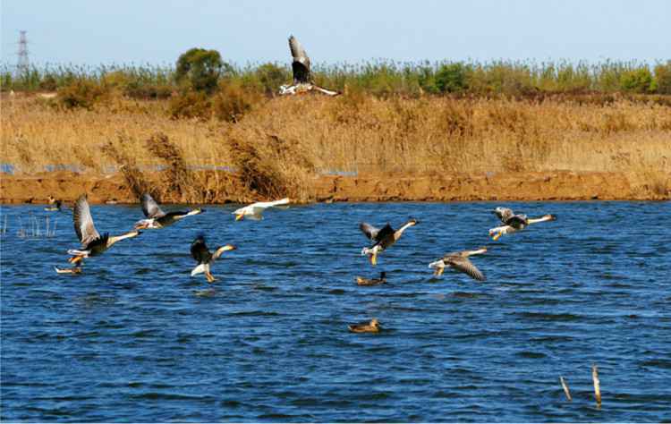 名牌导游带您游河北 | 河北这个年轻且古老的地方,“沧海文化”从这里起航……