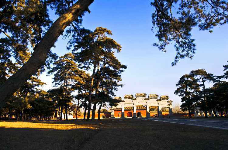 名牌导游带您游河北|探秘中国最后一座帝王陵墓群!这里还有国内最大人工古松林,被誉为可以深呼吸的“天然氧吧”…