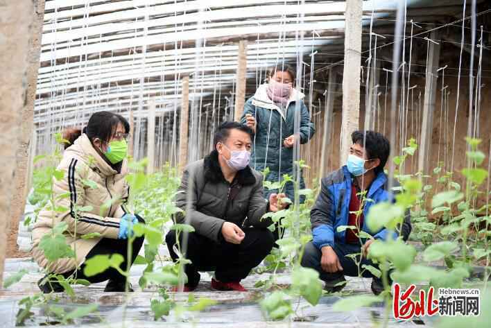 【壮歌——致敬河北抗疫中每一位平凡英雄】奋力夺取“双胜利”