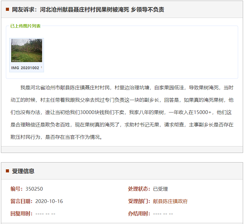 沧州献县聂庄村村民果树被淹死 乡领导不负责