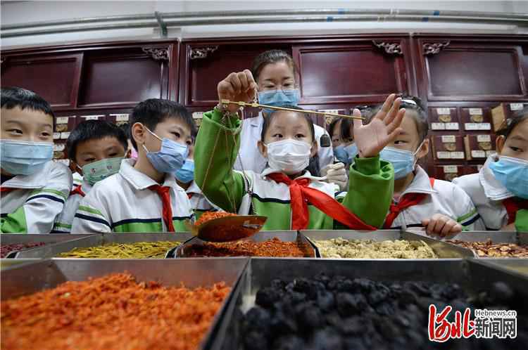 河北：体验中医文化 感受中医魅力