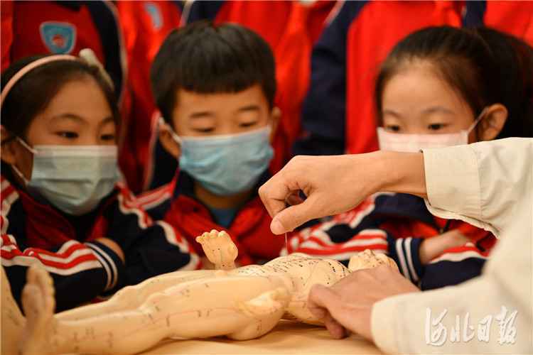 河北：体验中医文化 感受中医魅力