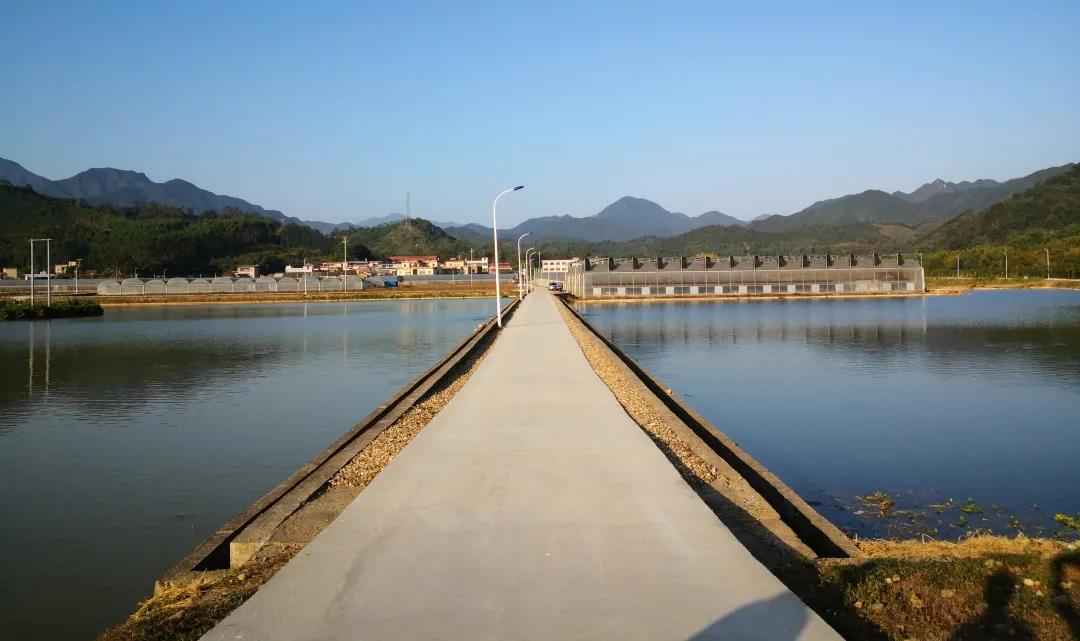 广发银行调研组赴渔溪村调研督导决战决胜脱贫攻坚