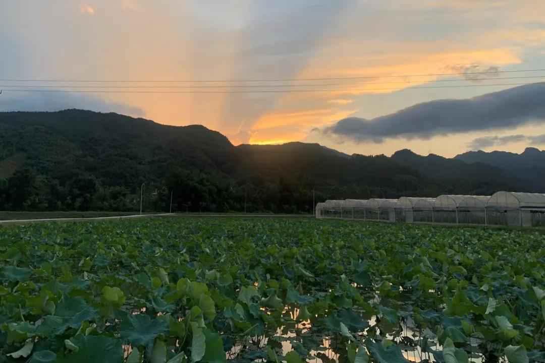 广发银行调研组赴渔溪村调研督导决战决胜脱贫攻坚