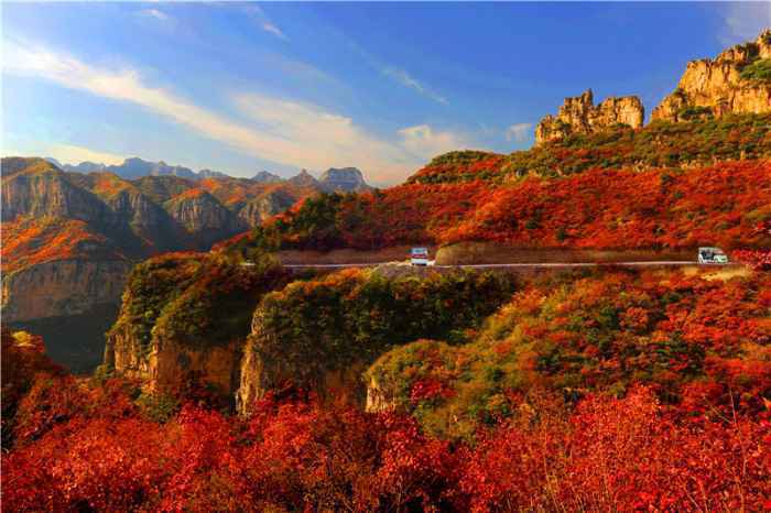 金秋烂漫 层林尽染 ——让我们一起出游吧！