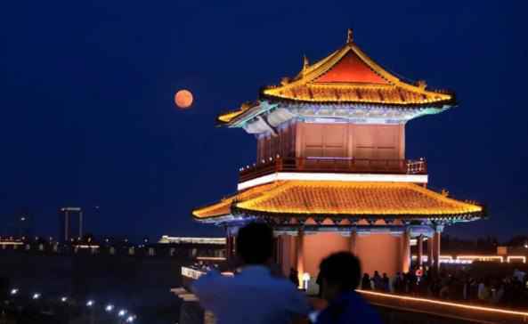 金秋烂漫 层林尽染 ——让我们一起出游吧！