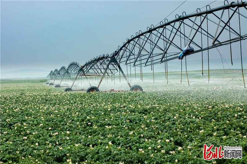 河北年底前将有70个左右的县达到县域节水型社会建设标准