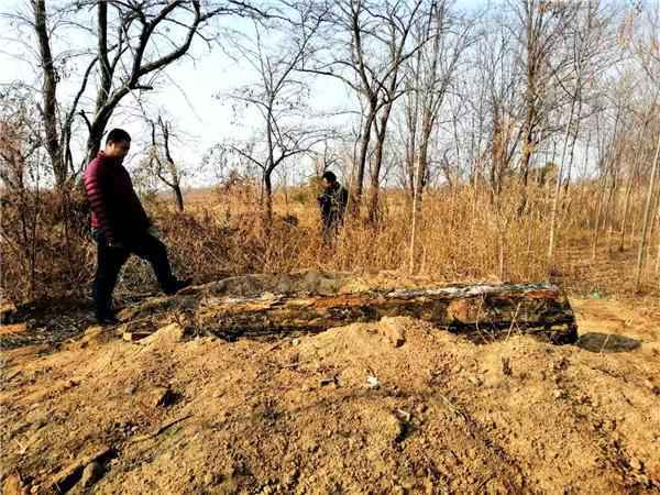 黄骅女子去世12年后尸骨被娘家人“盗去”配阴亲