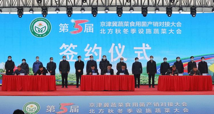 群英荟萃！ 第五届京津冀”蔬菜大会“河北饶阳开幕