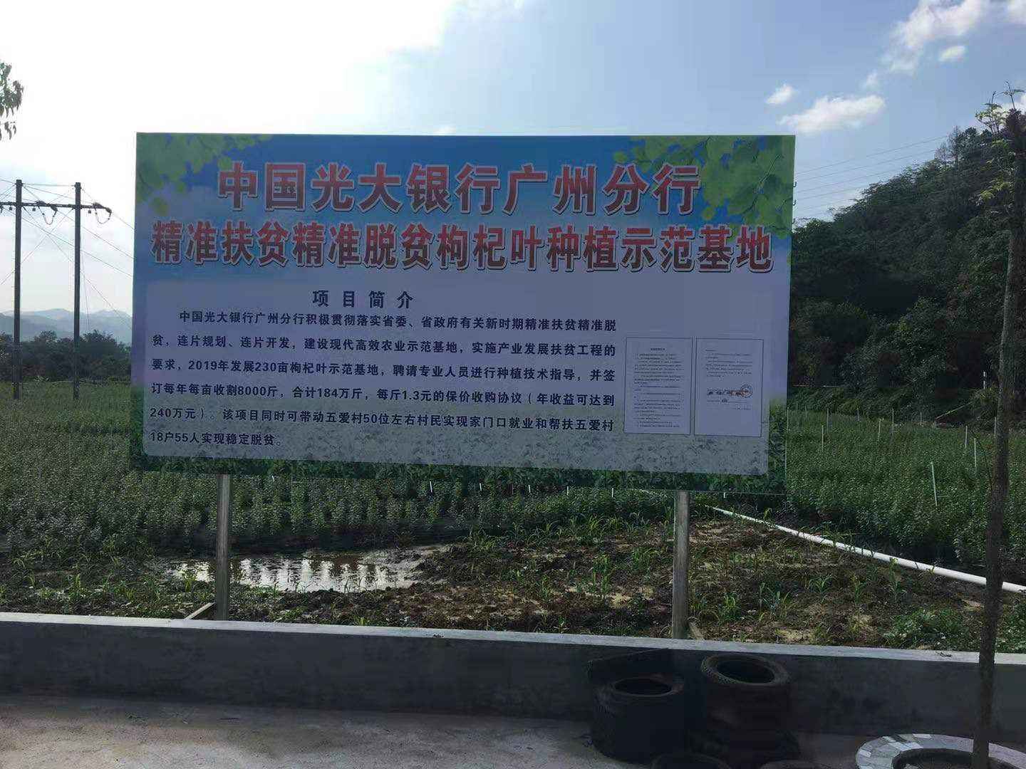 凝聚帮扶力量 光大银行奏响贫困地区脱贫致富曲