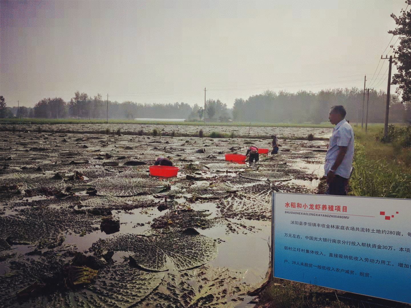 凝聚帮扶力量 光大银行奏响贫困地区脱贫致富曲