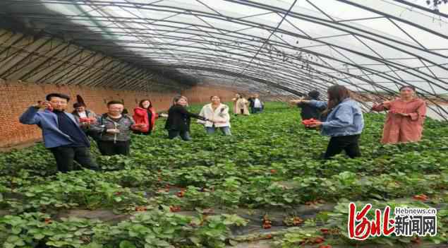 河北省省级以上星创天地达655家，驱动农村创新创业