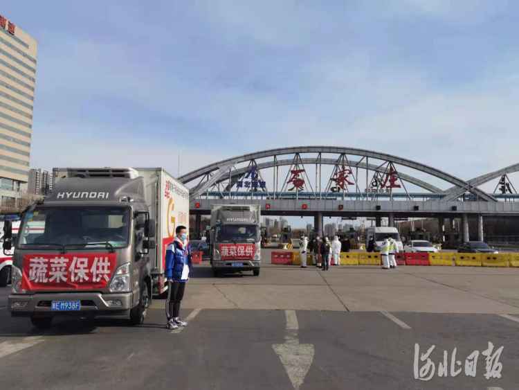 河北供销系统：每日可为石家庄配送质优价廉蔬菜500吨