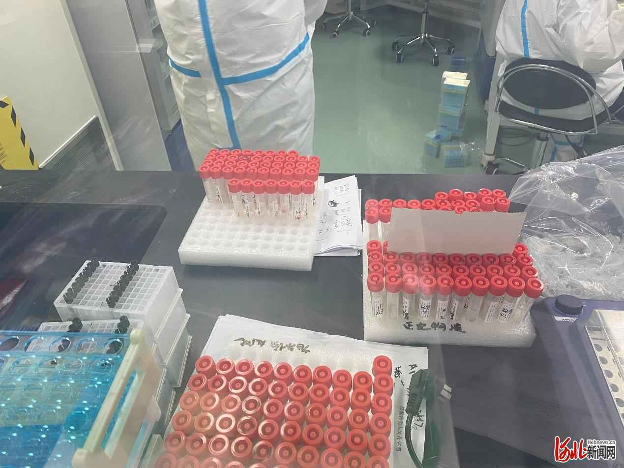 冲锋在抗疫第一线！河北生殖妇产医院全力支援全民核酸检测采样工作