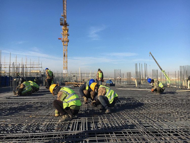 抓紧防疫抓实建设 打造新区电力名片