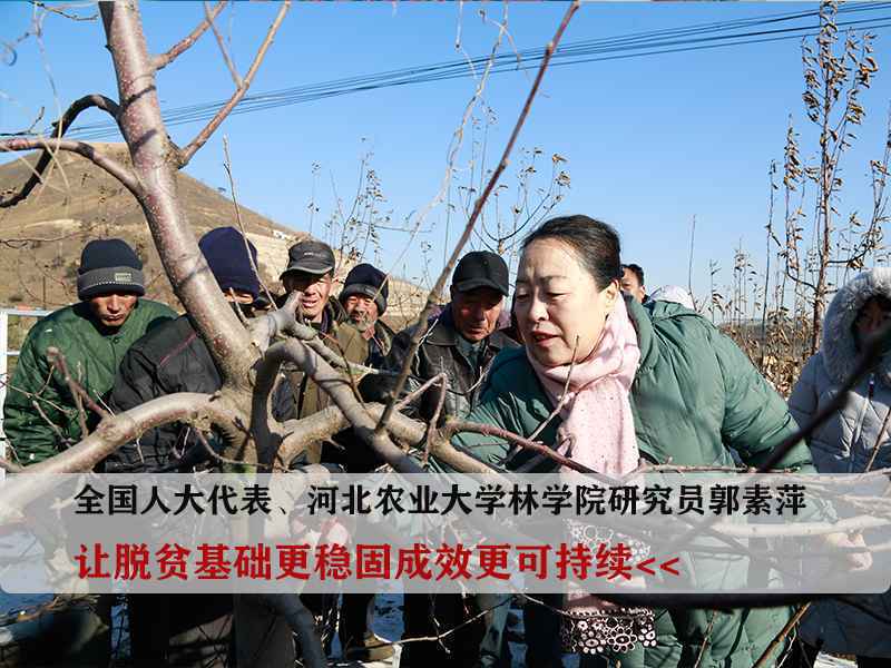 驻冀全国人大代表的履职“答卷”