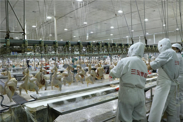 兰宝牧业：深耕农牧产业 助力乡村振兴