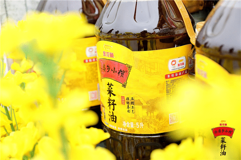 做辣菜还是外婆“香” 金龙鱼外婆乡小榨菜籽油“菜花节”成都发布会成功举行