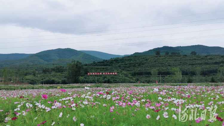 河北：科技创新为冬奥筹办添翼