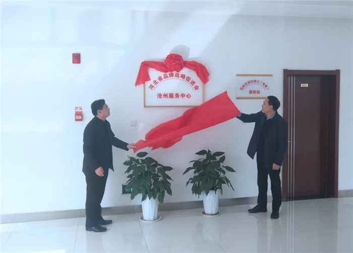 河北省品牌战略促进会沧州服务中心成立