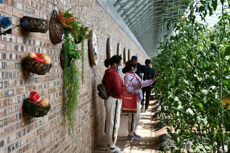 打造乡村振兴标杆 正定塔元庄同福乡村振兴示范园文旅行业渠道推介会举办