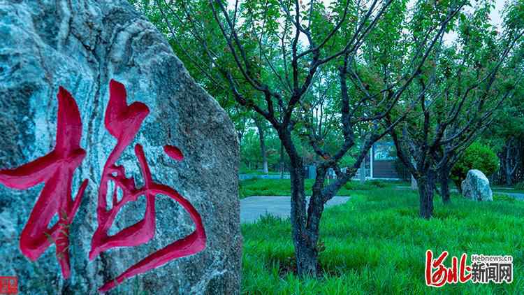 “遇见·正定”摄影大赛作品展播②邱玉峰