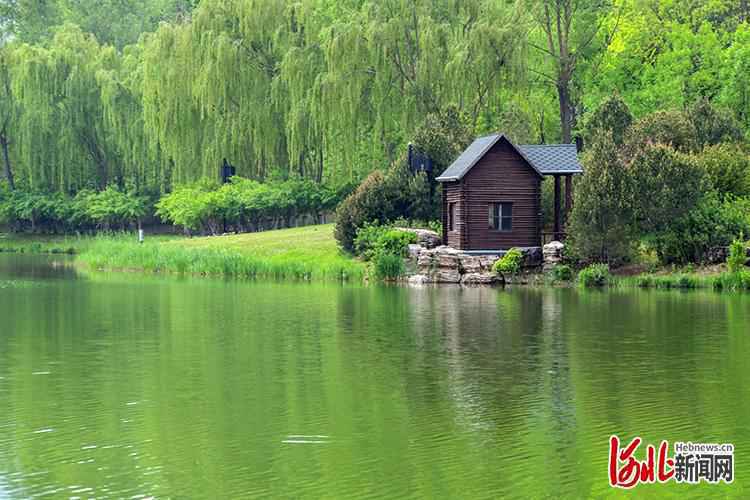 “遇见·正定”摄影大赛作品展播①延石生