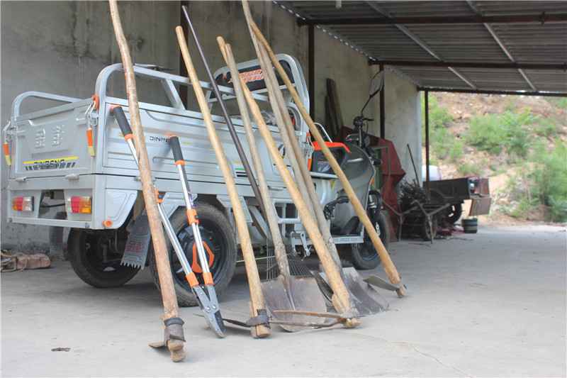 守山种树19载 荒山变青山 邢台退伍老兵的“绿色家”情缘