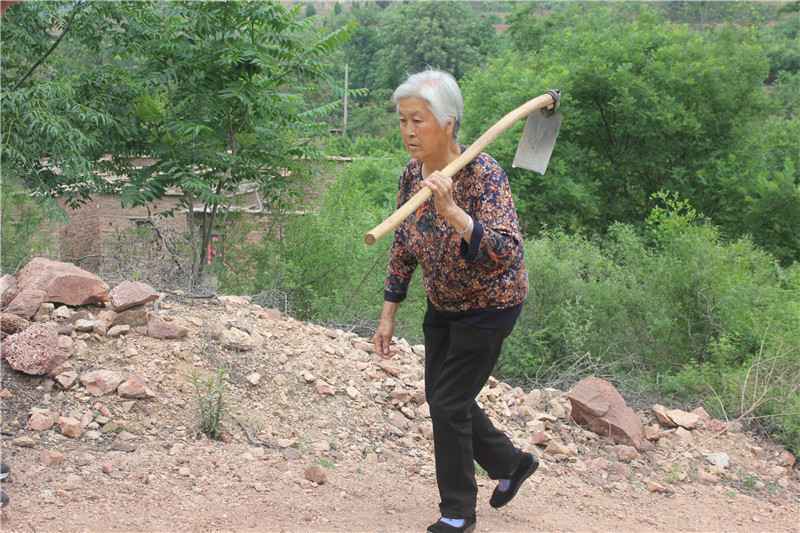 守山种树19载 荒山变青山 邢台退伍老兵的“绿色家”情缘