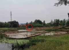 河北献县5名小学生溺