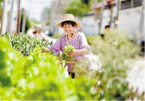 望都:美化乡村助力振兴