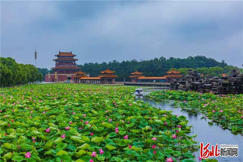 荷花汉服文化节在秦皇岛南戴河国际娱乐中心中华荷园精彩上演